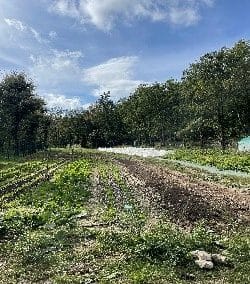 Appel à Candidature : location de terres à vocation pastorale