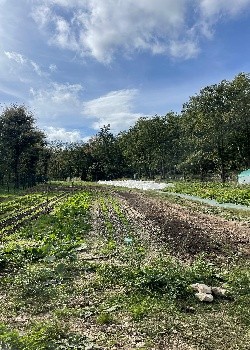 Appel à Candidature : location de terres à vocation pastorale